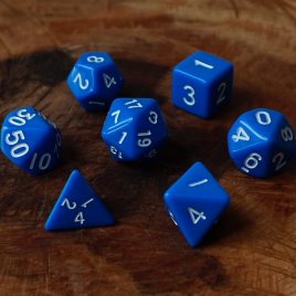 DD Plain Blue/White Polyset
