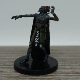 Deathlock, Deathknell, D&D miniatures