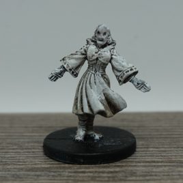 Deathlock Wight, Demonweb, D&D miniatures